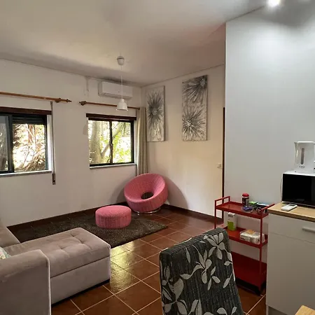 Quinta Da Graca Casa Do Artista 2 Appartement *