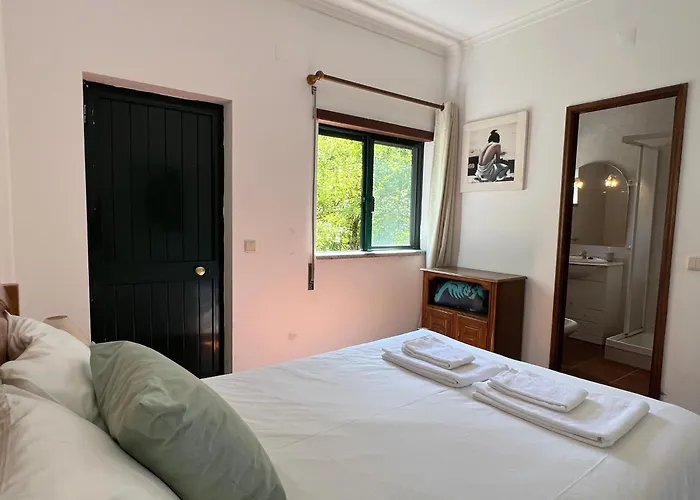 Quinta Da Graca Casa Do Artista 2 Resende